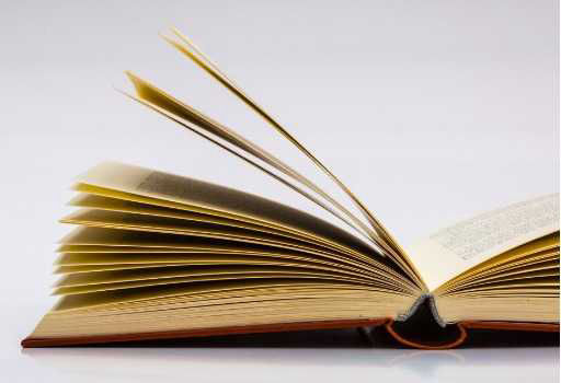 Vocabulario cecot
